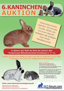Plakat Kaninchenauktion 2015 Bundeskaninchenschau Kassel
